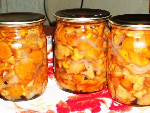 Cannelloni salati