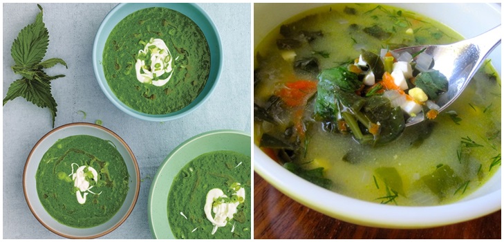 Zuppa verde di acetosa