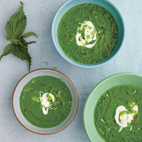 Zuppa verde di acetosa