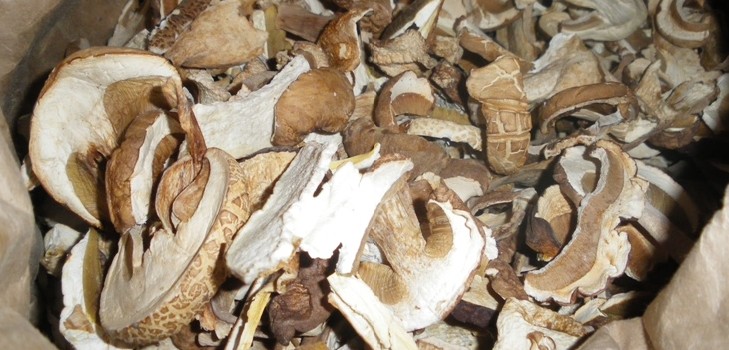 Funghi secchi bianchi: ricette per cucinare