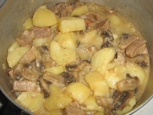 Funghi secchi bianchi: ricette per cucinare