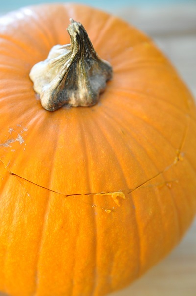 Zucca al forno