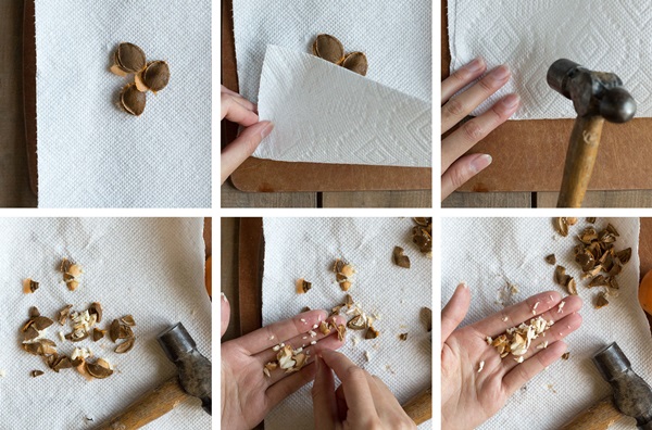 Confettura di albicocche - ricetta reale