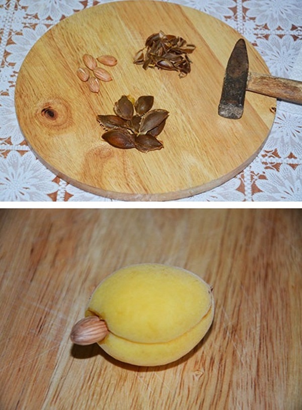 Confettura di albicocche - ricetta reale