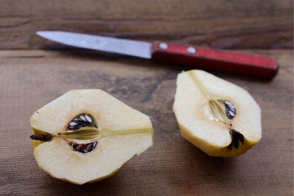 Marmellata di mele cotogne: le ricette più gustose con le foto