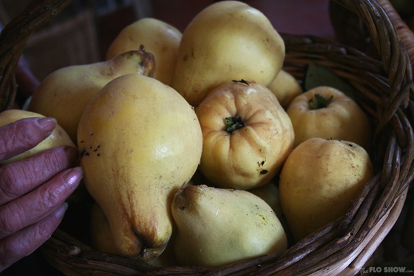 Marmellata di mele cotogne: le ricette più gustose con le foto
