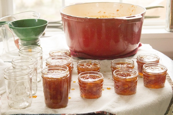 Marmellata di arance e bucce d'arancia: ricette passo-passo con foto