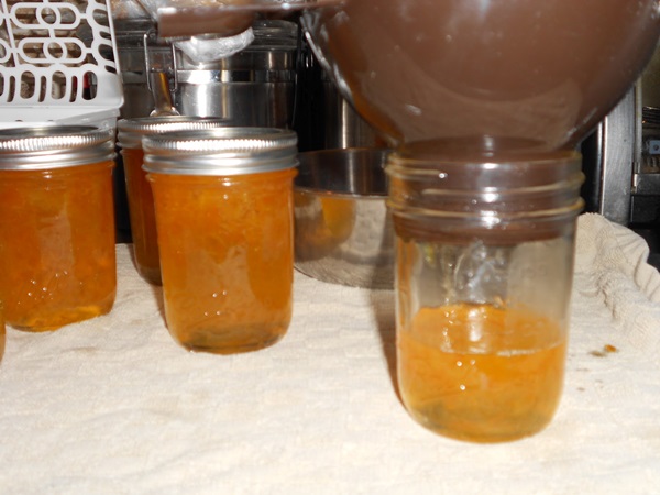 Marmellata di arance e bucce d'arancia: ricette passo-passo con foto