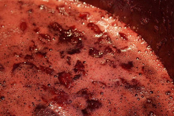 Jam-cinque minuti ciliegia