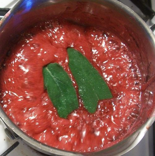 Gelatina di ribes rosso