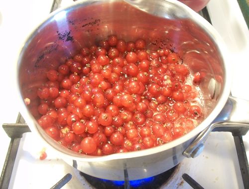Gelatina di ribes rosso