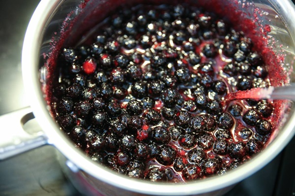 Marmellata di aronia nera