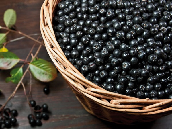 Marmellata di aronia nera