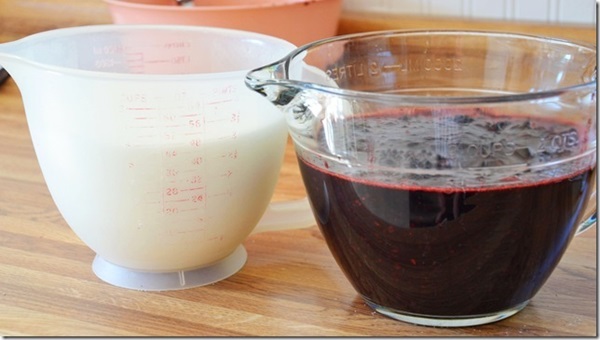 Marmellata di aronia nera