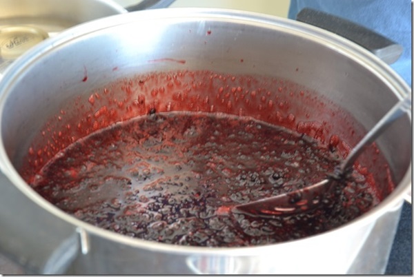 Marmellata di aronia nera