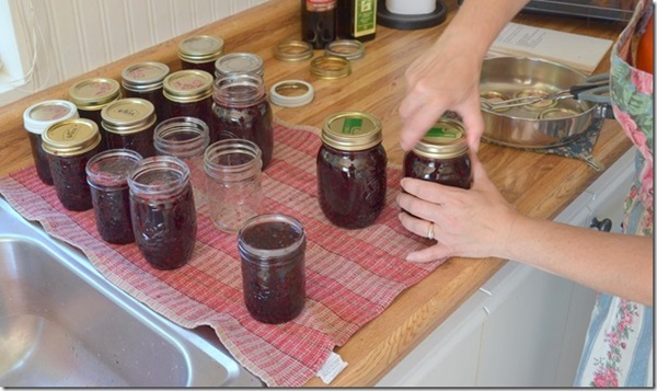 Marmellata di aronia nera
