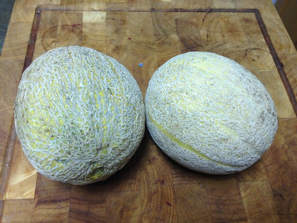 Marmellata di melone e crosta di melone per l'inverno - ricette semplici