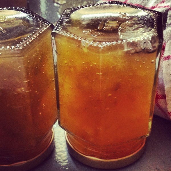 Marmellata di melone e crosta di melone per l'inverno - ricette semplici