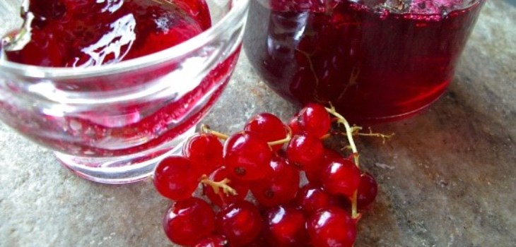 bacche di ribes rosso