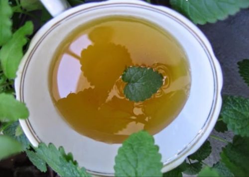 Conserve di menta classica
