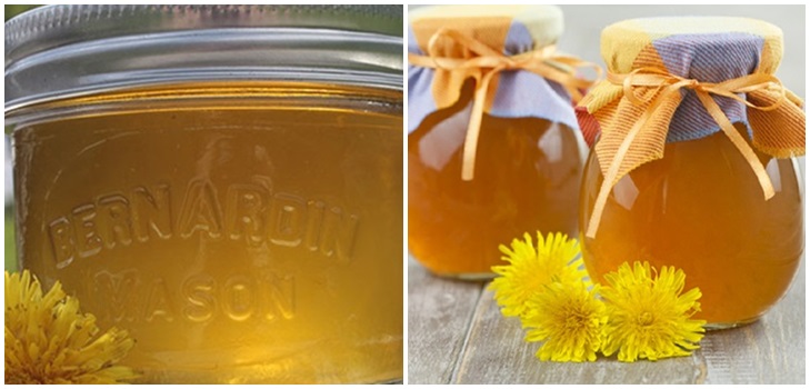 Marmellata e miele di denti di leone con acido citrico e senza acido