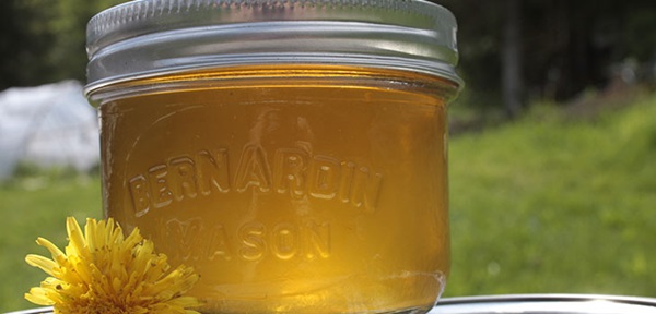 Marmellata e miele di denti di leone con acido citrico e senza acido