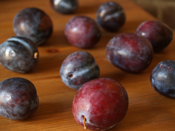 Come preparare la marmellata da una prugna con una pietra e snocciolate - ricette semplici