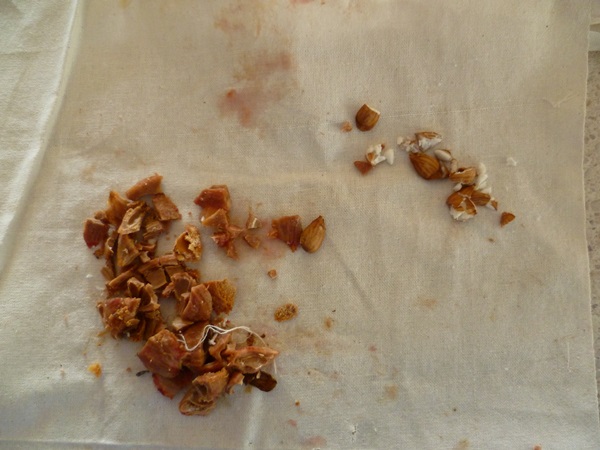Come preparare la marmellata da una prugna con una pietra e snocciolate - ricette semplici
