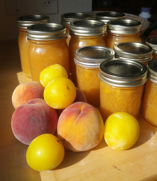 Come preparare la marmellata da una prugna con una pietra e snocciolate - ricette semplici