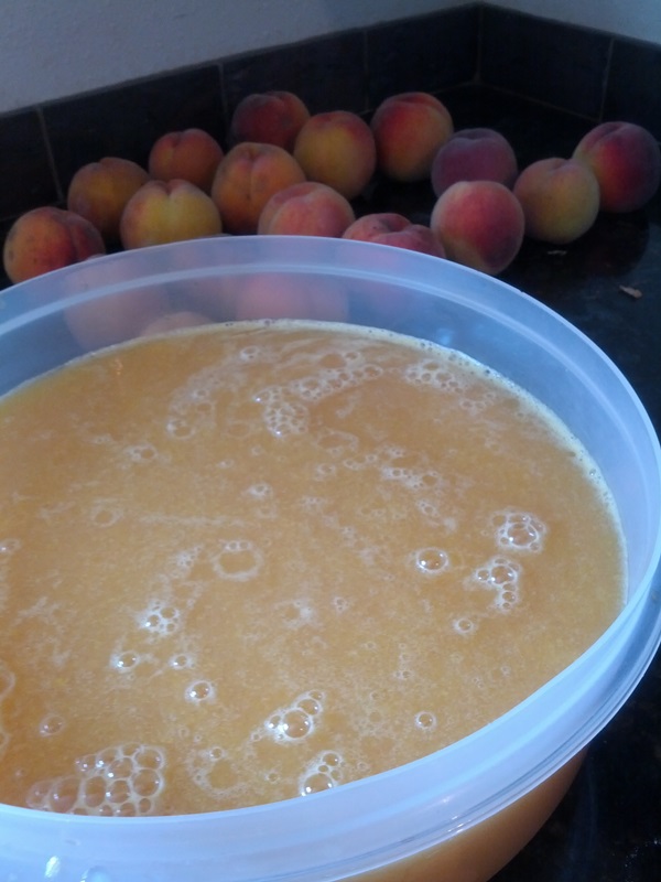 Come preparare la marmellata da una prugna con una pietra e snocciolate - ricette semplici