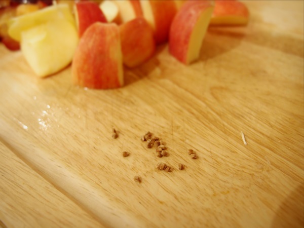 Come preparare la marmellata da una prugna con una pietra e snocciolate - ricette semplici