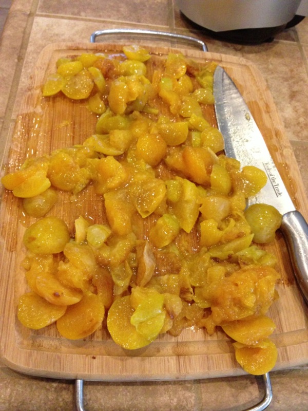 Come preparare la marmellata da una prugna con una pietra e snocciolate - ricette semplici