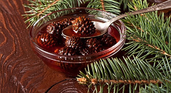 Marmellata originale di pigne