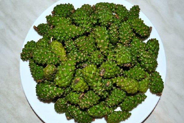 Marmellata originale di pigne
