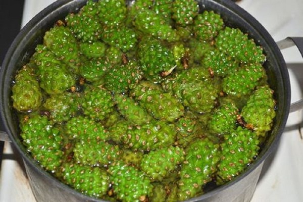 Marmellata originale di pigne