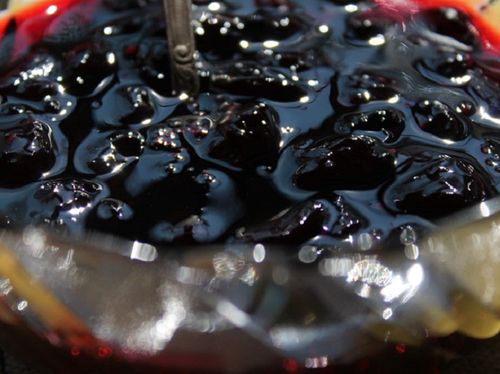 Ricetta per marmellata dal caprifoglio Come preparare la marmellata dal caprifoglio