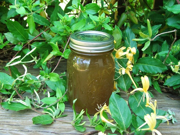 Marmellata di caprifoglio