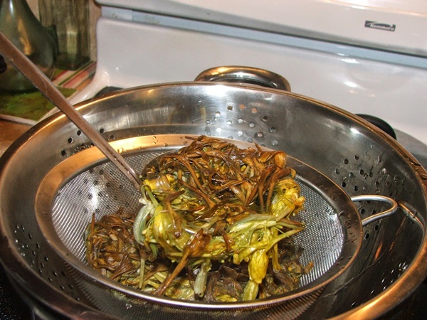 Marmellata di caprifoglio