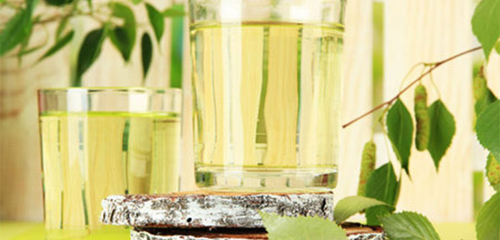 Un'antica ricetta per il vino dalla linfa di betulla