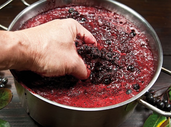 Vino fatto in casa da chokeberry