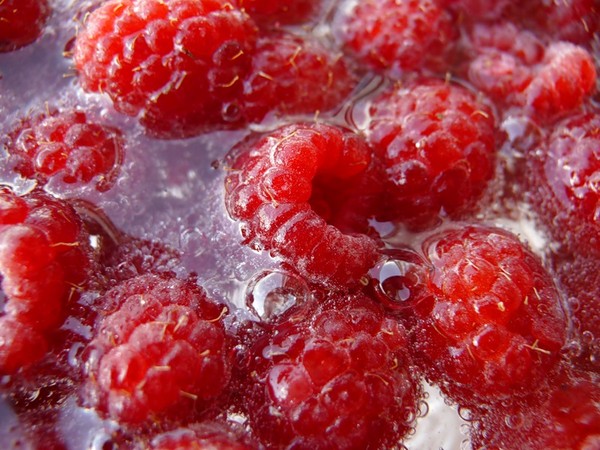 Vino dal lampone a casa - ricette semplici
