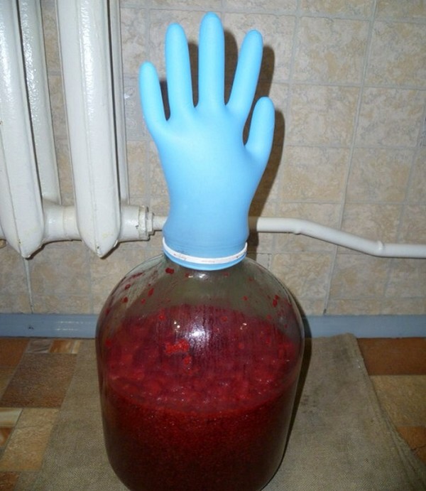 Vino dal lampone a casa - ricette semplici