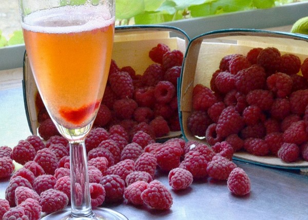 Vino dal lampone a casa - ricette semplici