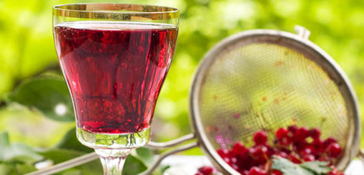 Vino dal ribes in casa - nero, bianco, rosso, senza lievito e con loro. Ricette semplici e tradizionali di vino della casa dai colori ribes Vino dal ribes in casa - nero, bianco, rosso, senza lievito e con loro. Ricette semplici e tradizionali di vino della casa dai colori ribes