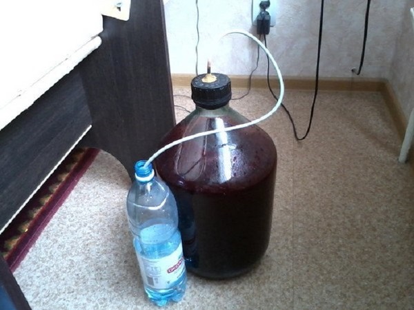 Vino dal ribes in casa - nero, bianco, rosso, senza lievito e con loro. Ricette semplici e tradizionali di vino della casa dai colori ribes