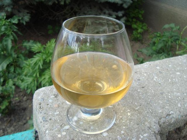 Vino dal ribes in casa - nero, bianco, rosso, senza lievito e con loro. Ricette semplici e tradizionali di vino della casa dai colori ribes Vino dal ribes in casa - nero, bianco, rosso, senza lievito e con loro. Ricette semplici e tradizionali di vino della casa dai colori ribes