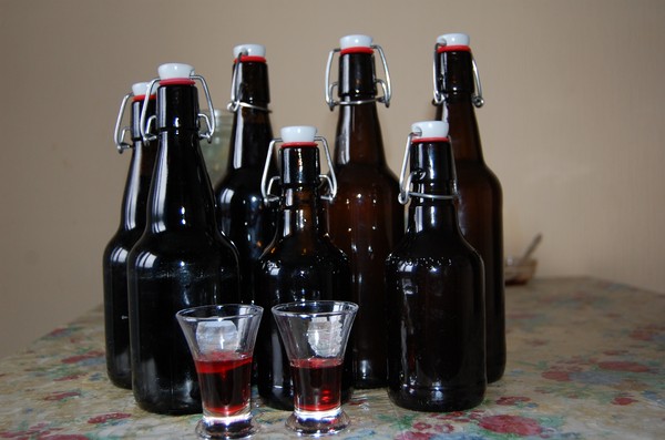 Vino dal ribes in casa - nero, bianco, rosso, senza lievito e con loro. Ricette semplici e tradizionali di vino della casa dai colori ribes
