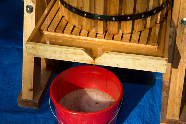 Vino fatto in casa dalle mele