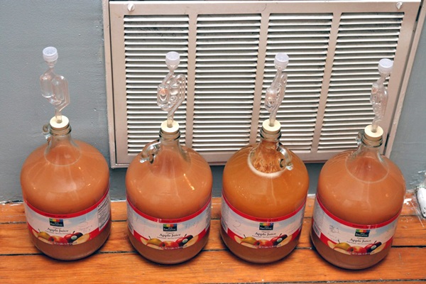 Vino fatto in casa dalle mele