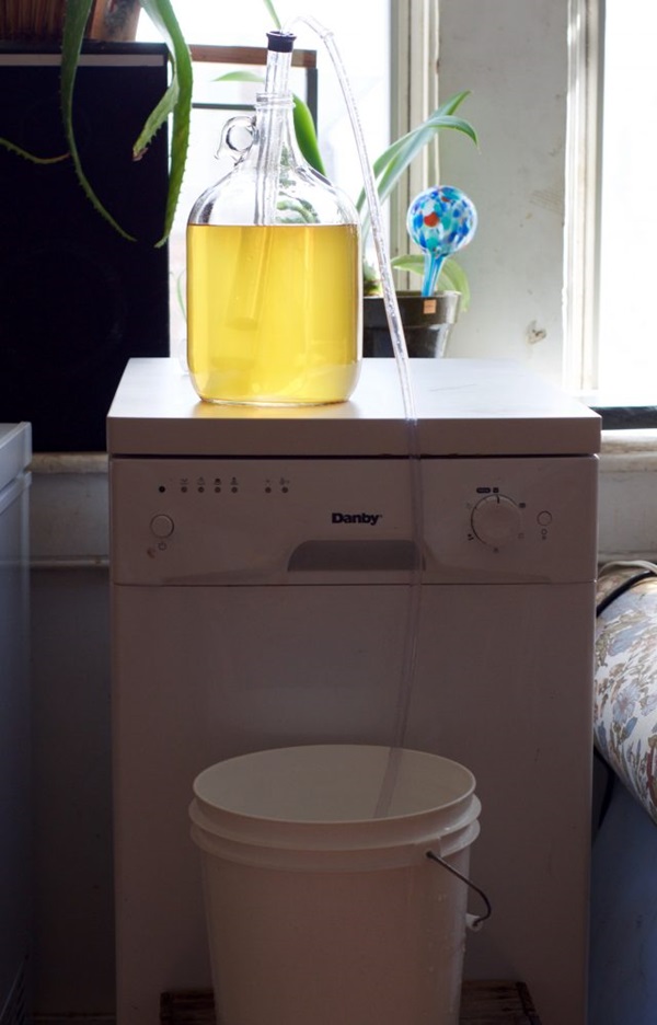 Vino fatto in casa dalle mele